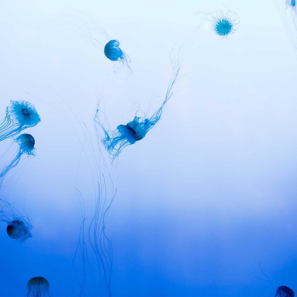 H&M Basic Crewneck Tee