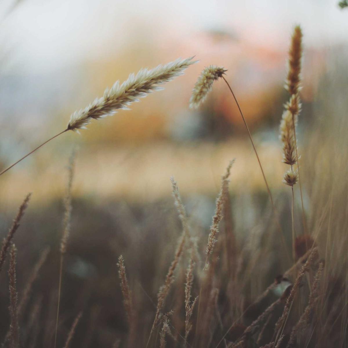 La Roche-Posay Anthelios SPF50
