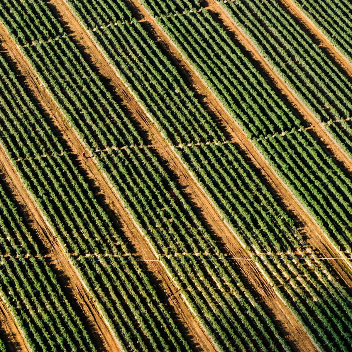 ASUS ROG Zephyrus G14