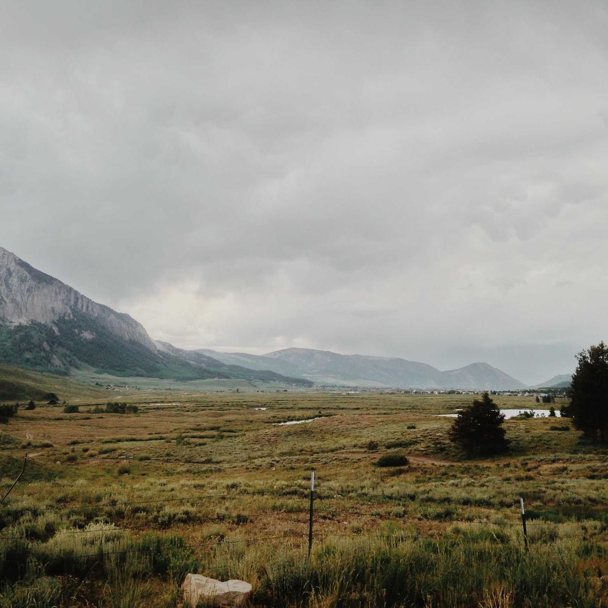 Tommy Hilfiger Chino Pants