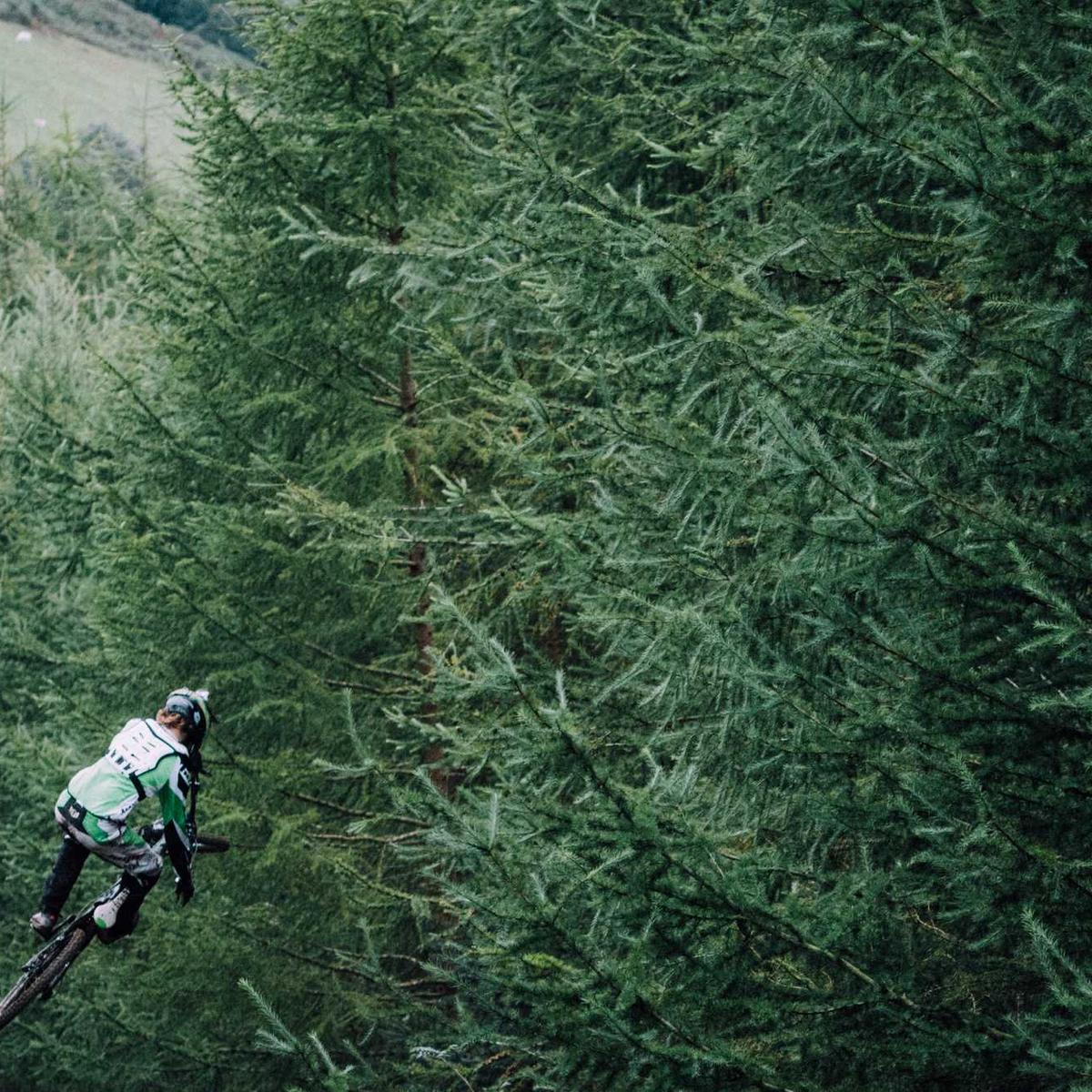 Zara Wide-Leg Trousers